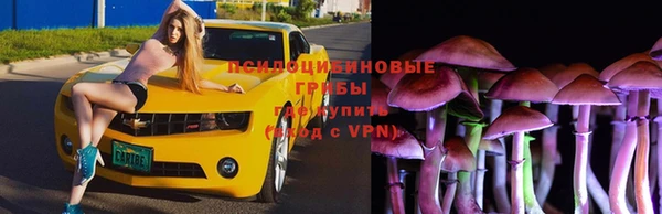 ECSTASY Абдулино