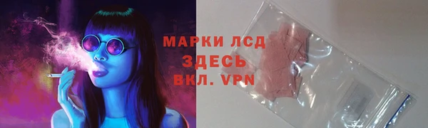 стафф Дмитров