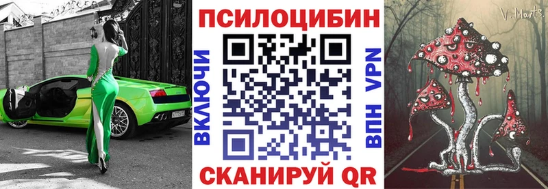 Галлюциногенные грибы мухоморы  продажа наркотиков  Мещовск 